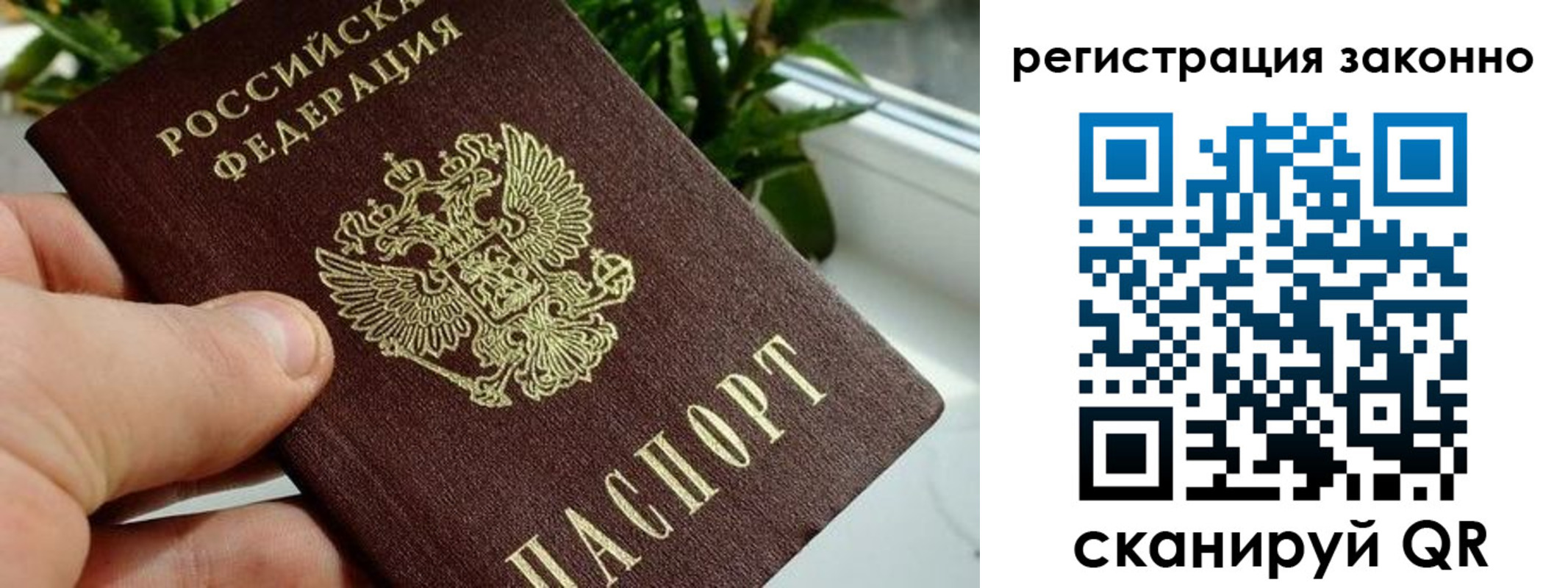 прописка гарантия в Новочебоксарске